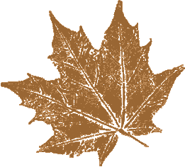 Maple Leaf